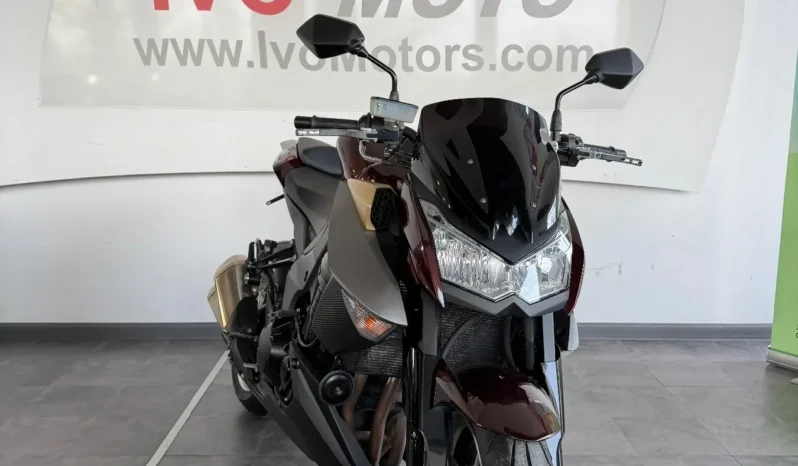 2010 Kawasaki Z 1000 – M5001 full