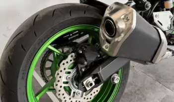 2024 Kawasaki Z 900 – M5098 full